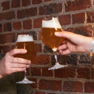 Vivat bières de dégustation